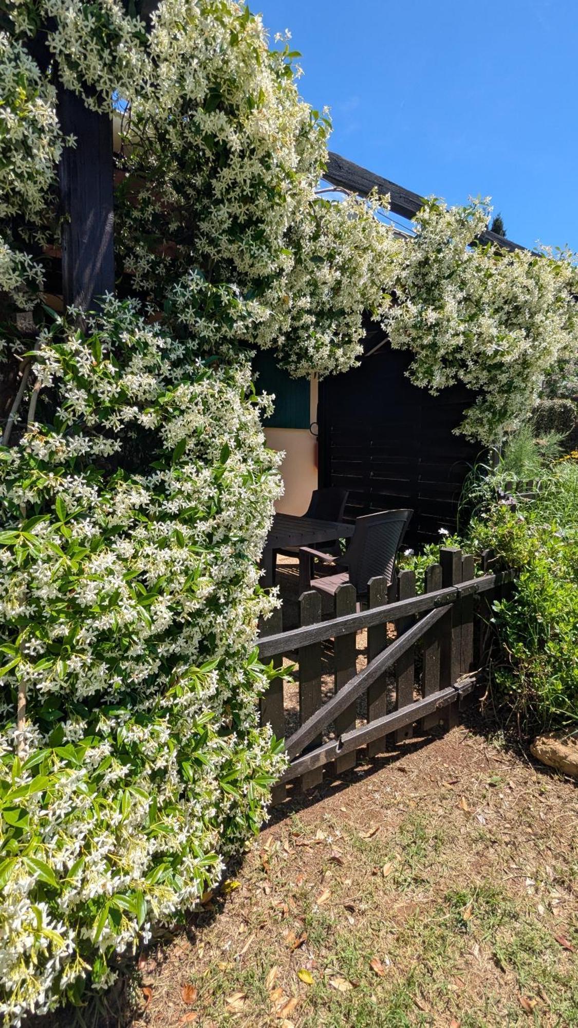 Podere Isabella San Vincenzo Eksteriør bilde
